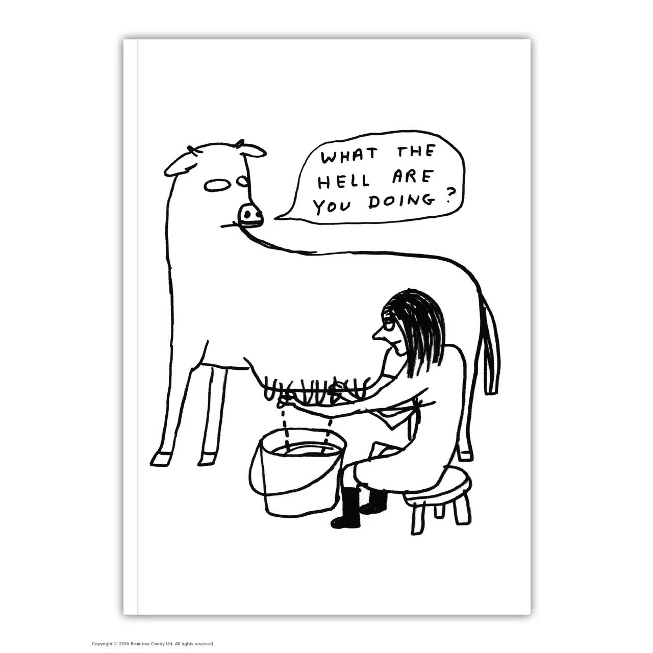 David Shrigley A6 Notizbuch - Notebook What The Hell - Trouver La Mode