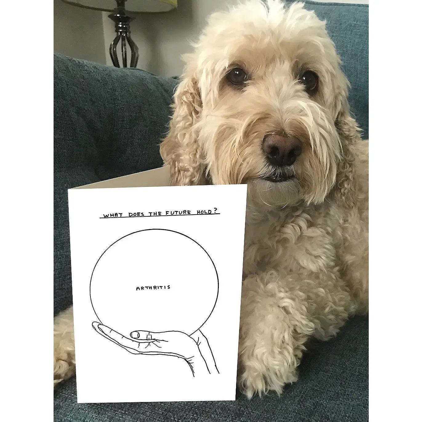 David Shrigley Card Arthritis - Funny - Trouver La Mode